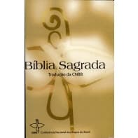 Bíblias: Sagrada Nvi Couro vermelha/ Sagrada Tradução pela CNBB / Coreana / La biblia Dios Habla Hoy/ La bible em frances/ A biblia - salmos/ Biblia Edição Historica
