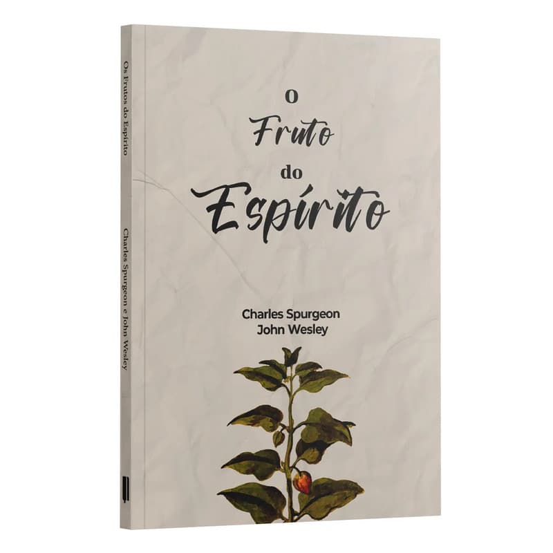Livro O Propósito da familia - J. Wesley & R. Baxter Penkal Cristão Evangélico Gospel Igreja Família