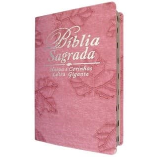 Bíblia Sagrada com Harpa Cristã que é Ideal para Jovens e Adolescentes tem Tamanho Grande Harpa Índice na lateral e Capa